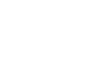 Logo Big